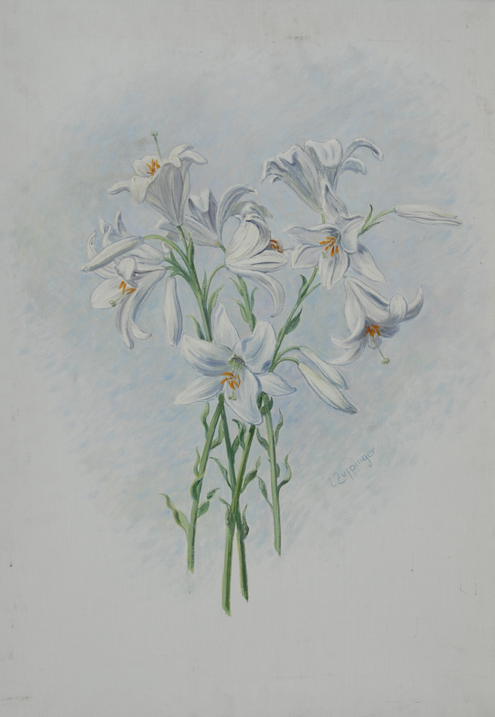 Ernst Zuppinger, Lilies