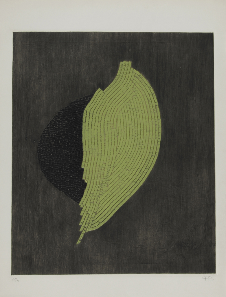 Arthur Luiz Piza, Noir et verte