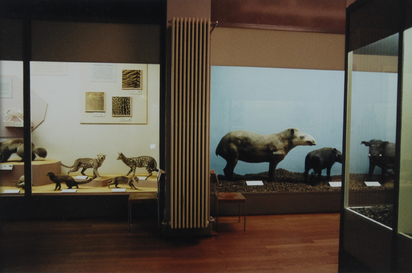Naturhistorisches Museum Basel