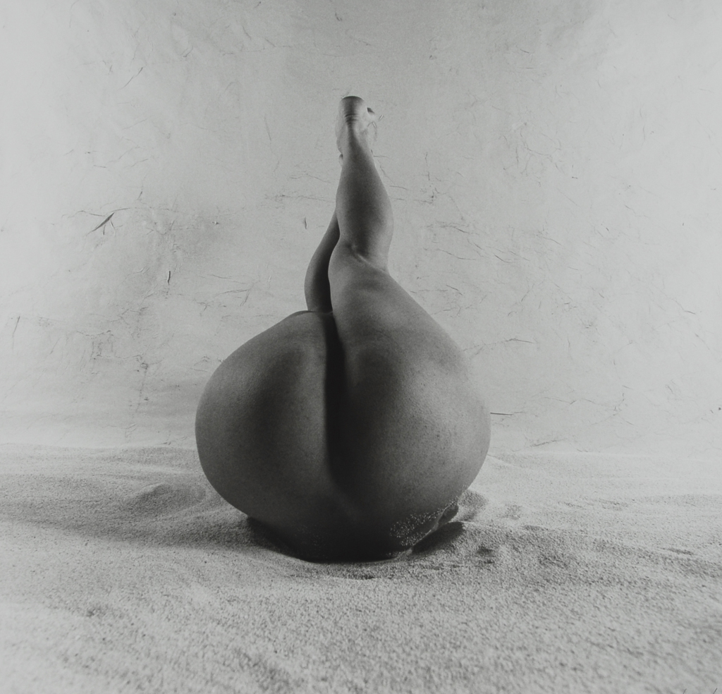 Lucana   (Ana Lucia Pérez Tobón), Series Formas: El Ajo