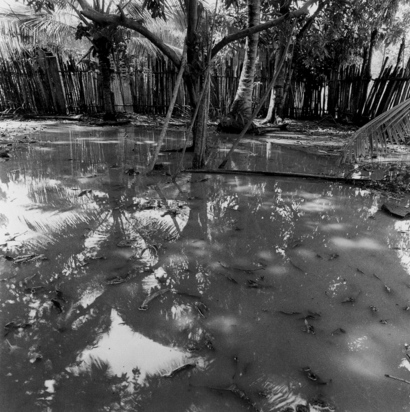 Series Tolu: Solar inundado