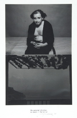 Work 4, from the series "The personal dissolves so easily in the typical"