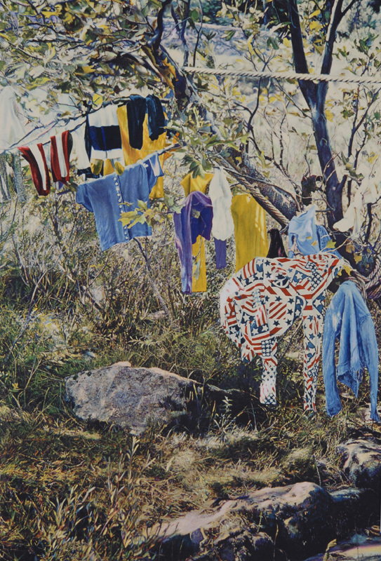 Franz Gertsch, Untitled