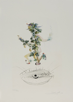 Révérence du groseillier, from "Flordali (Les Fruits)"