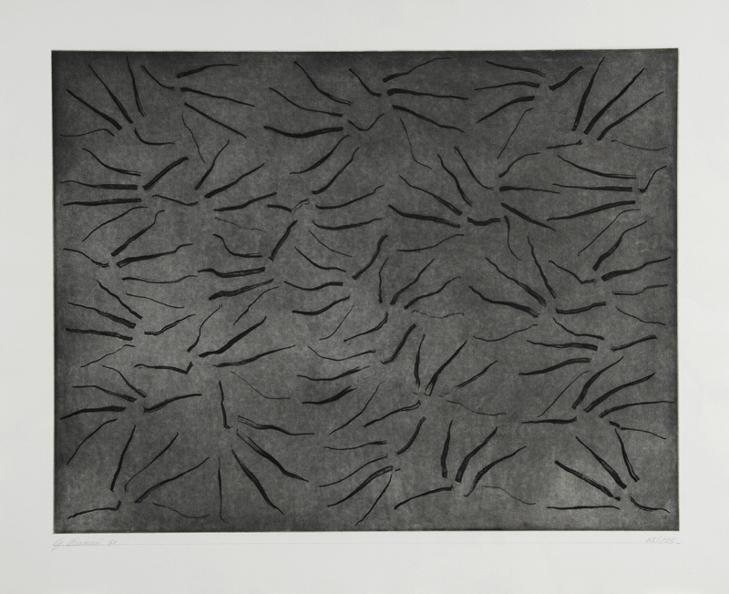 Gianfredo Camesi, Dimension unique