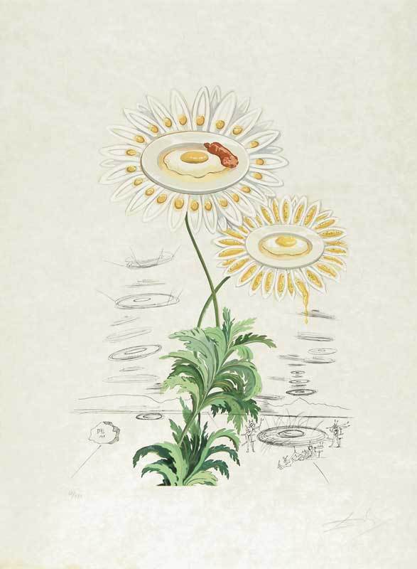 Salvador Dalí, Marguerite (Chrysanthemum frutescens), from "Flordali (Flora Dalinae)"