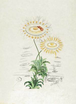 Marguerite (Chrysanthemum frutescens), from "Flordali (Flora Dalinae)"
