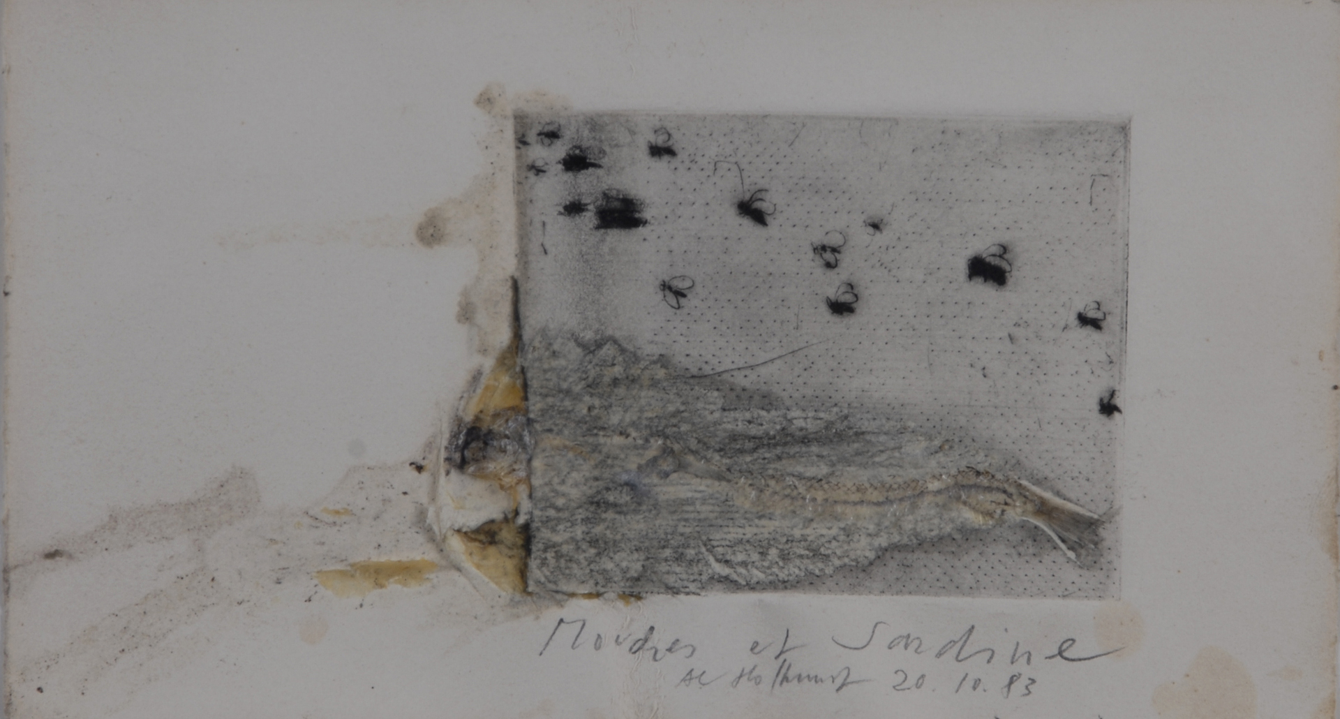 Alfred Hofkunst, Mouches et sardine