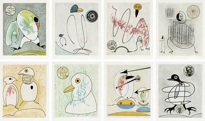 Portfolio. Oiseaux en Péril