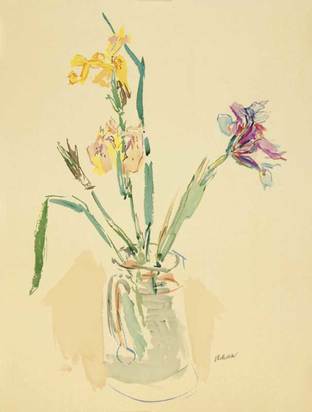 Gelbe und violette Iris