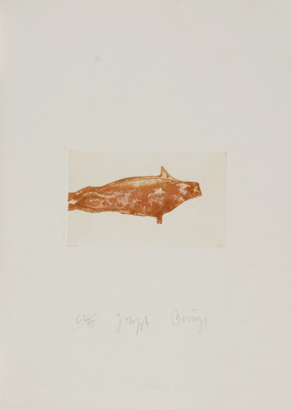 Joseph Beuys, Meerengel Robbe 2