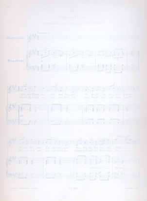 Winterreise - Wasserfluth, 1989