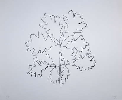 Oak VI, 1992, from "Oak leaves 1993"