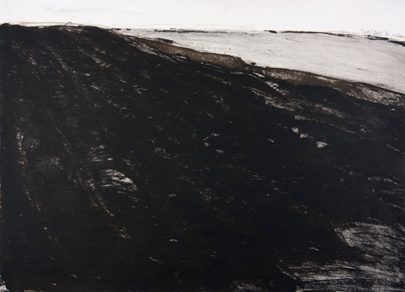 Rolf Iseli, Erdblatt grosses Moos, 1972