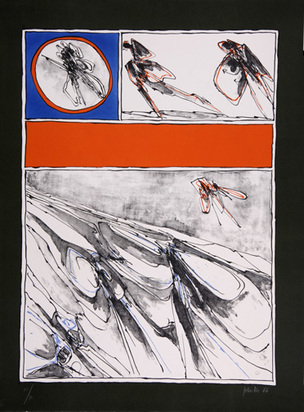 Voyage dans les pays magiques, 1966