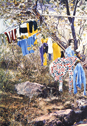 Franz Gertsch, Saint Guilhem, 1974