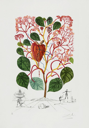 Begonia (Anacardium recordans), from "Flordali (Flora Dalinae)", 1968