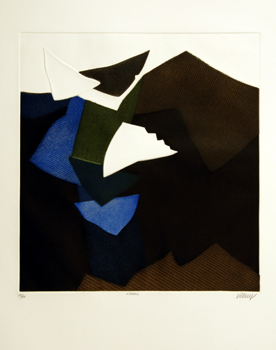 Bertrand Dorny, Oiseaux
