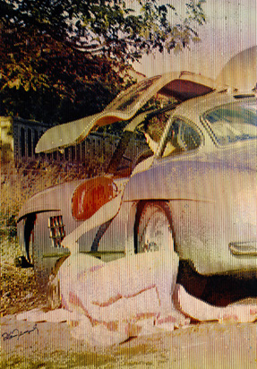 Nu et voiture