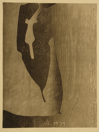 Franz Eggenschwiler, Folder. Topographik Xylos, 1980