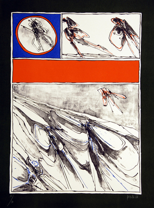 Voyage dans les pays magiques, 1966