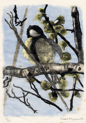 Oiseau, 1957