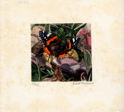 Le papillon, 1945