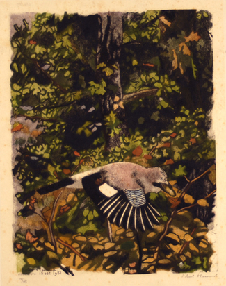 L'orn geai, 1951