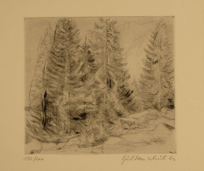 6 sheets: K. Guldenschuh (2); M. Hegetschweiler (2); K. Hosch (2)
