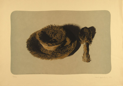 Fur Cup (D'Après la photo de Man Ray 1936), 1971