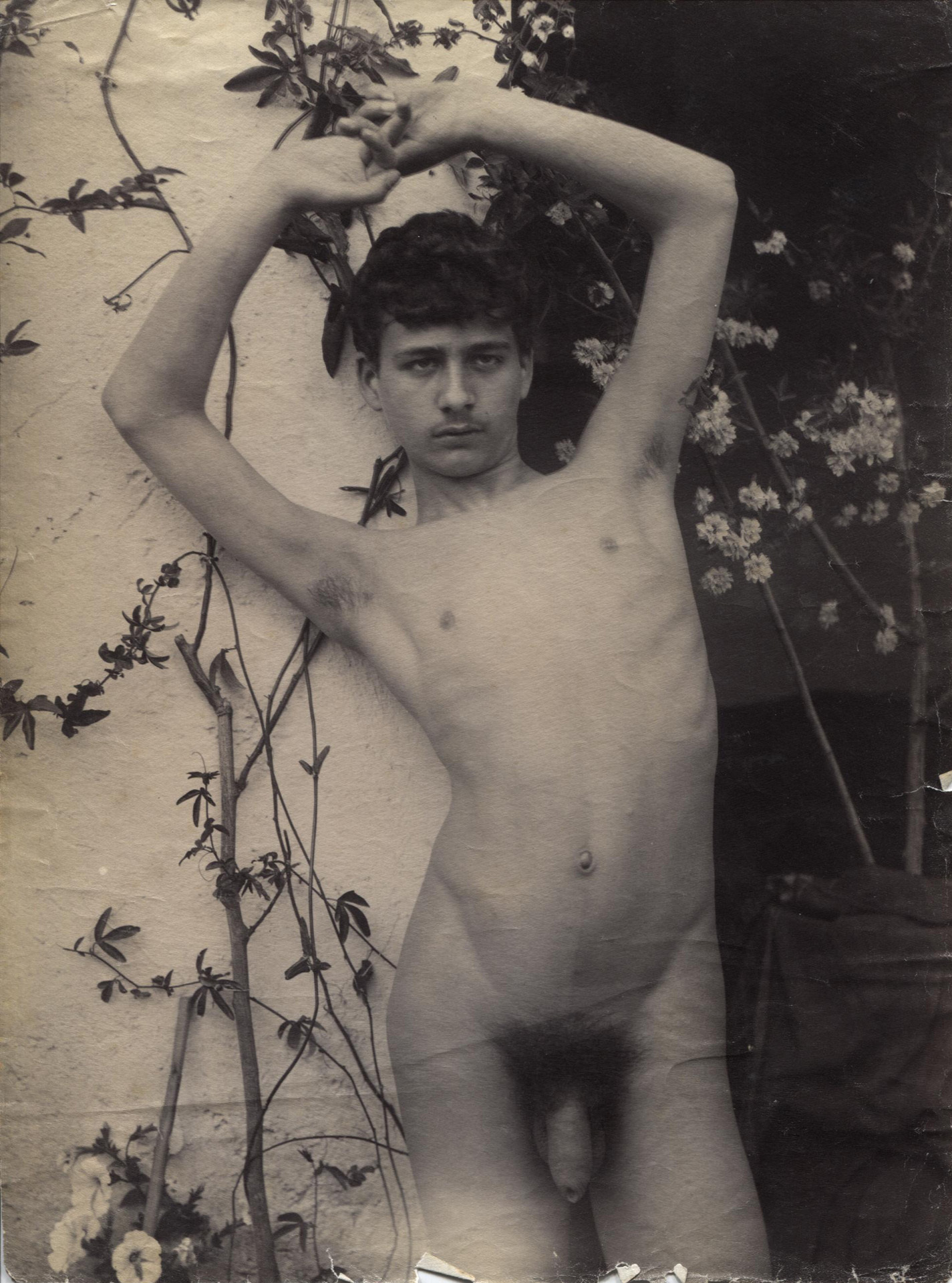 Guglielmo Plüschow, 2 Fotografien: Sizilianischen Knaben