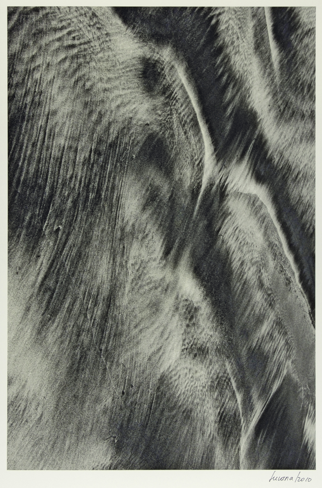 Lucana   (Ana Lucia Pérez Tobón), Texturas, Baja California