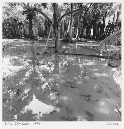 Solar Inundado