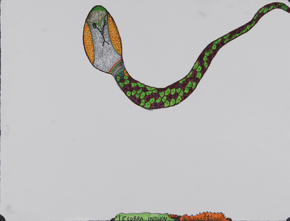 Le cobra indien