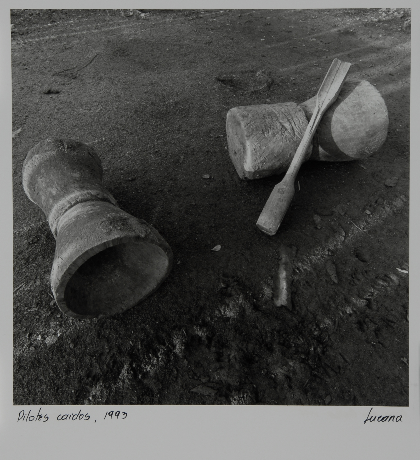 Lucana   (Ana Lucia Pérez Tobón), Pilotes caidos