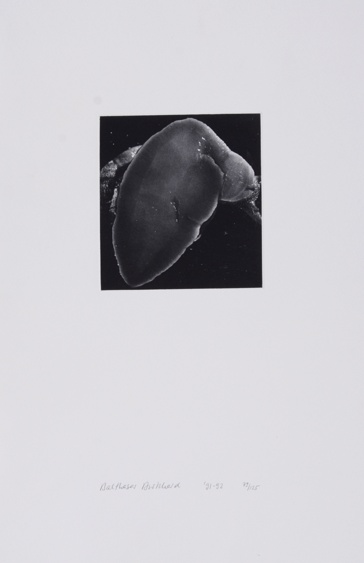 Balthasar Burkhard, Schnecke