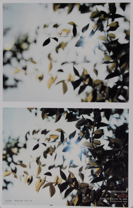 Flare (Detail 18, 19)