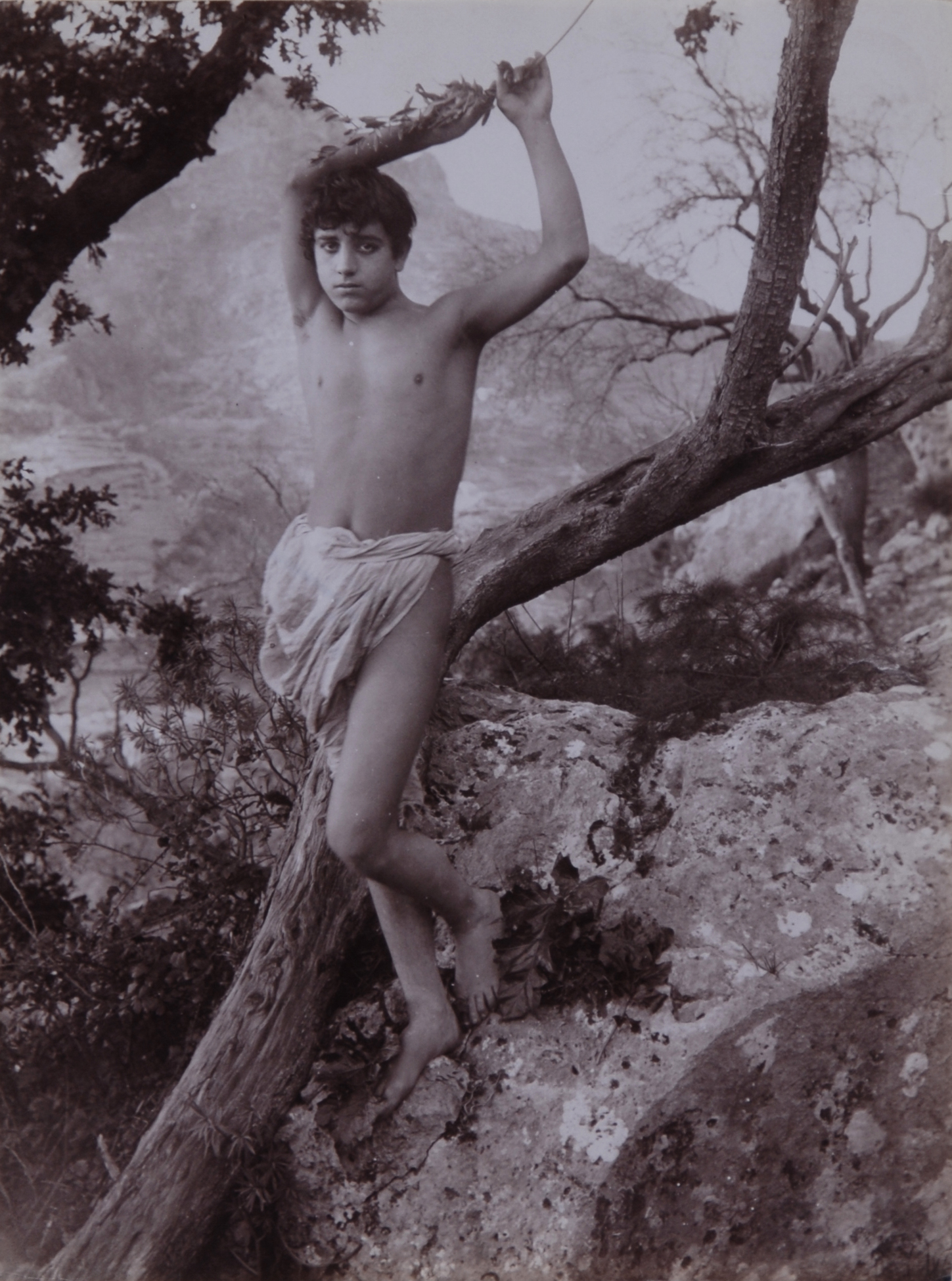 Wilhelm von Gloeden, 2 Fotografien: Sizilianischer Jüngling in der Natur; Porträt eines sizilianischen Jünglings