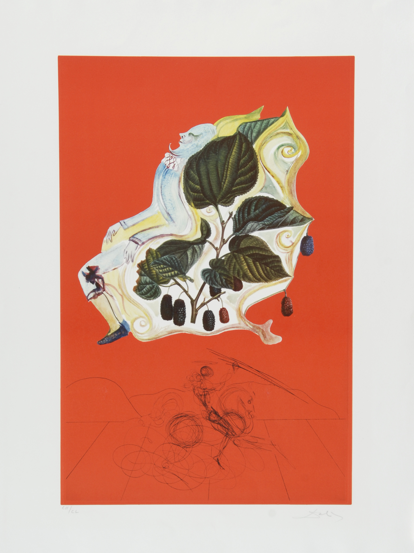 Salvador Dalí, Mûre sauvages (Flordali)