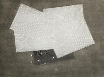 Noir dans le blanc