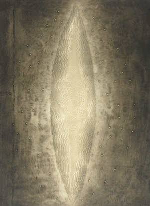 Constellation