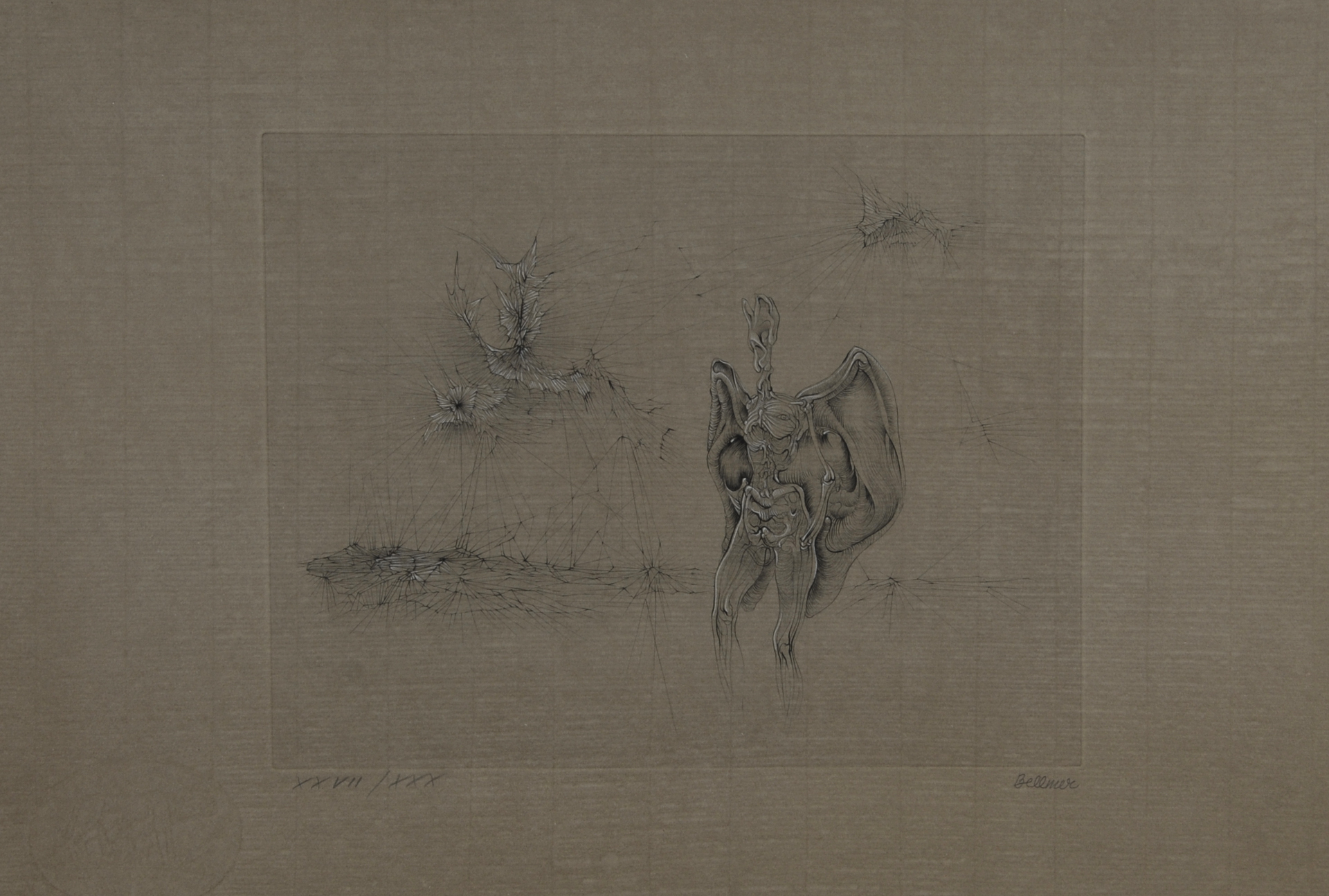 Hans Bellmer, Le chauve-souris