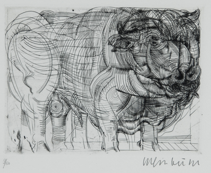 Stier