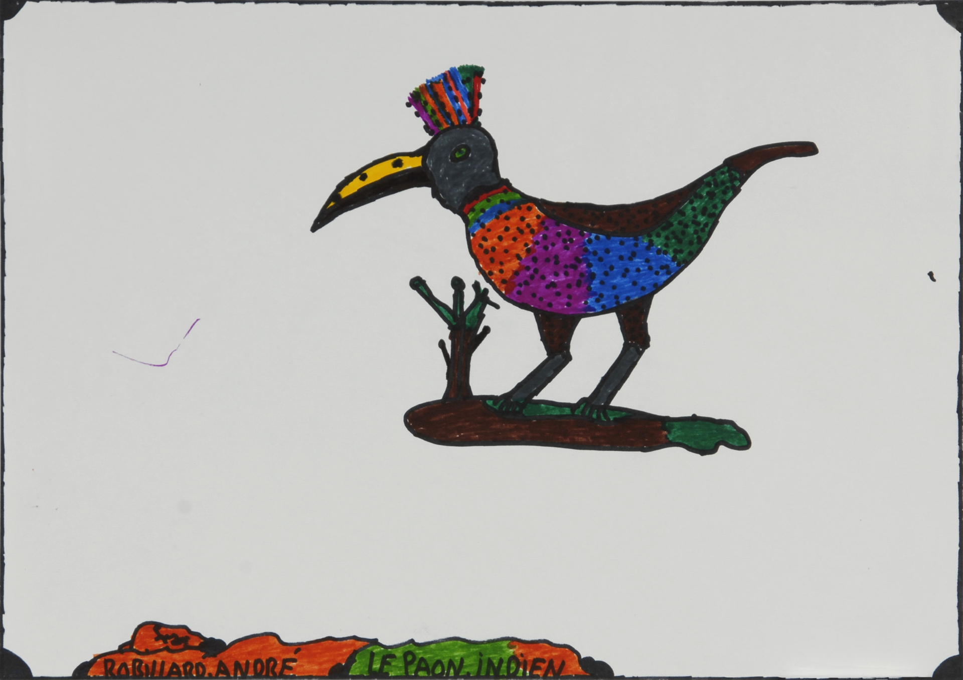 André Robillard, Le paon indien