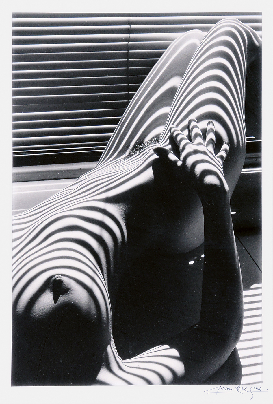 Lucien Clergue, Nu zébre, New York