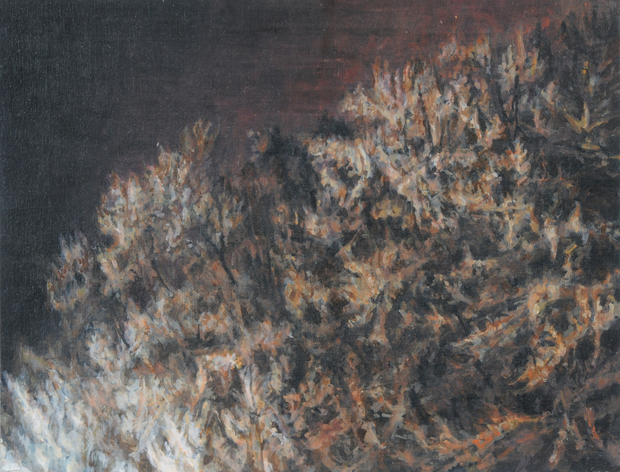 Marcel Gähler, Ohne Titel (0_2007_05)