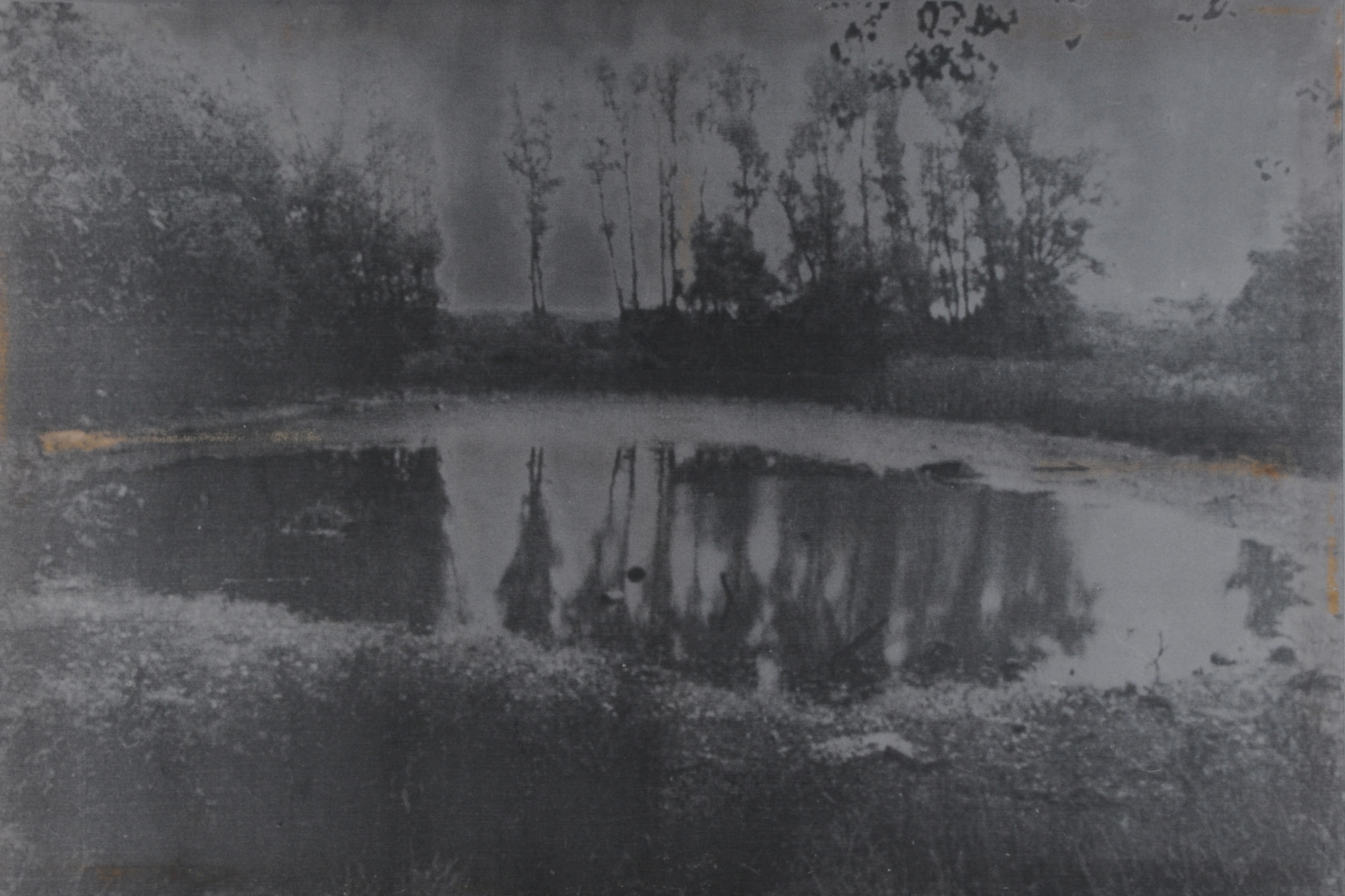 Annelies Strba, Weier Werbelin