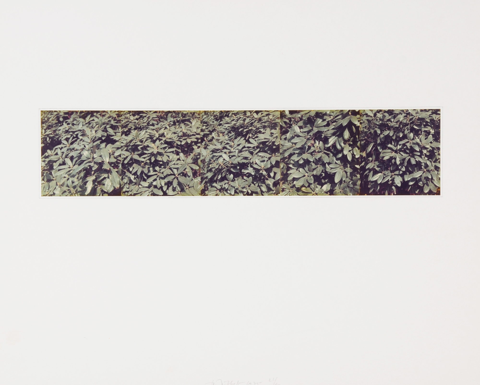 Jan Dibbets, Untitled