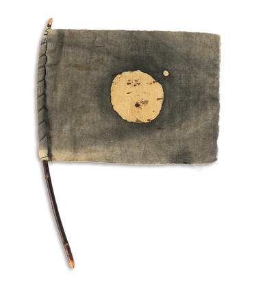 Terra-Flagge