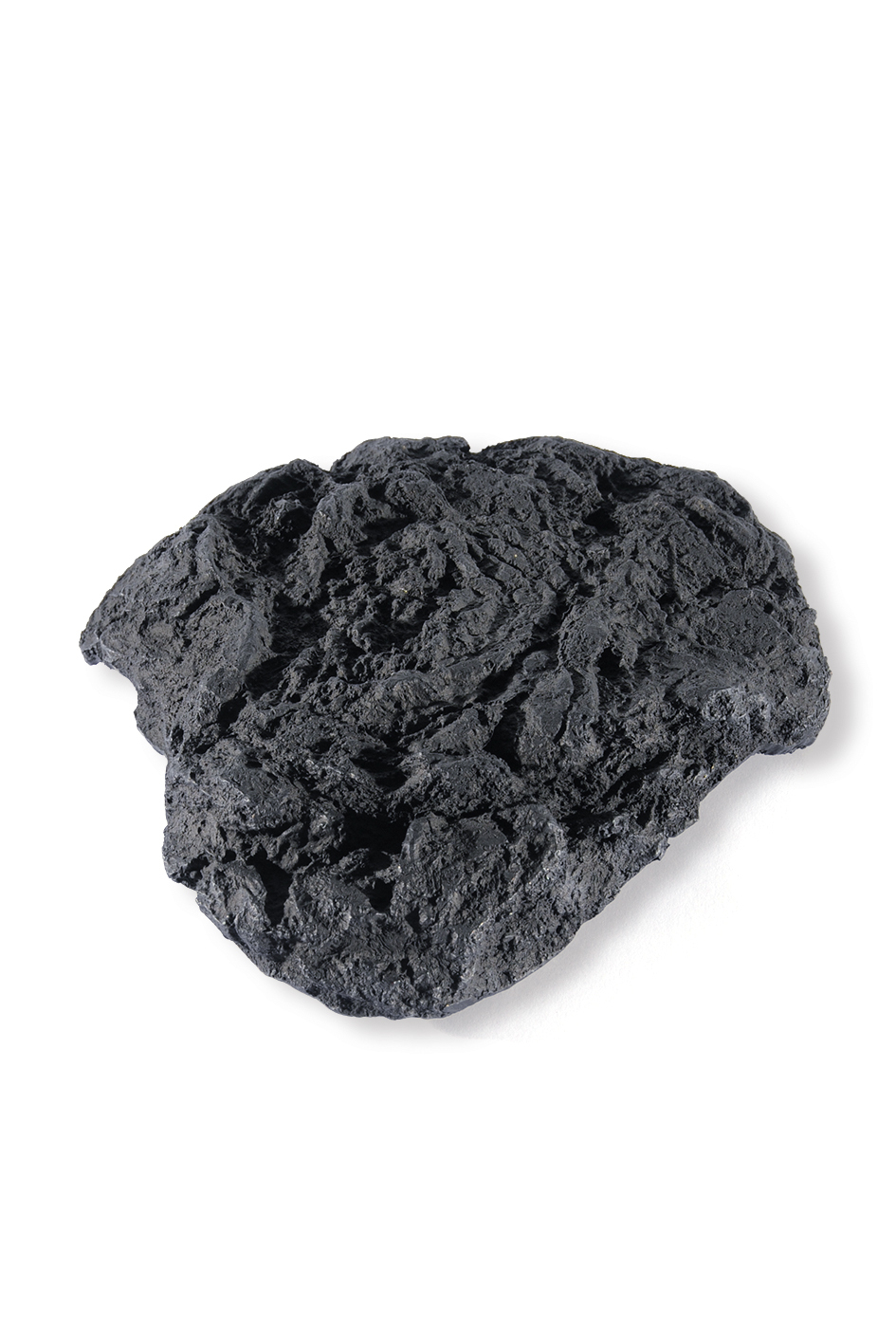 Not Vital, (Mongolian) Cow Dung, 1990/2009 (535)